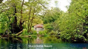 naum naum